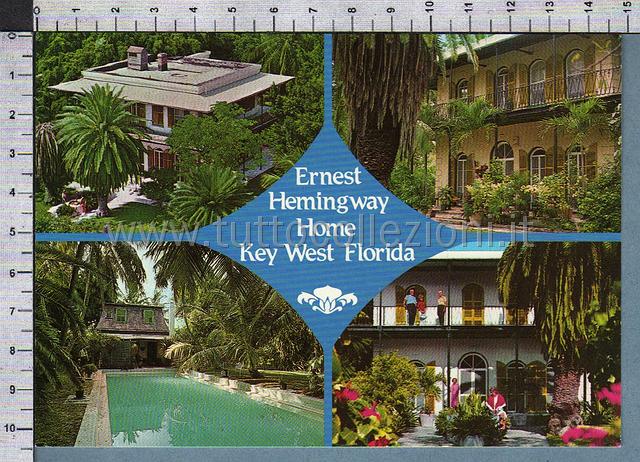 Collezionismo di cartoline postali della florida